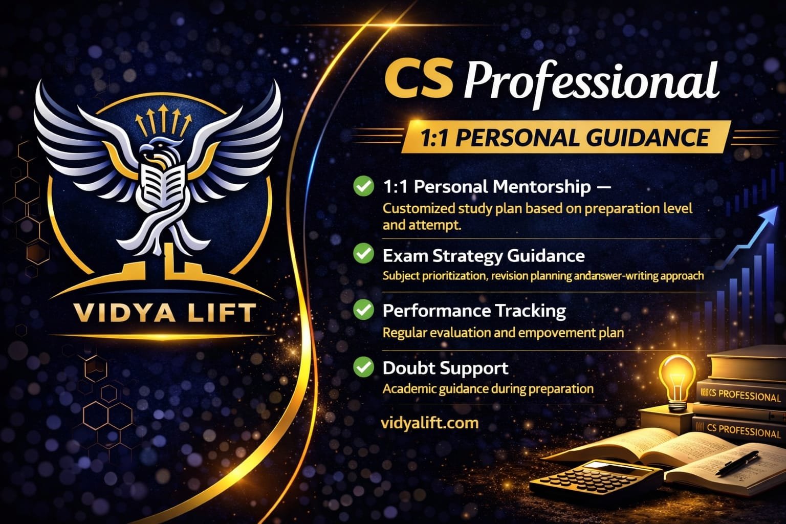 Vidyalift CS Mentorship – Professional (1:1 Guidance)
